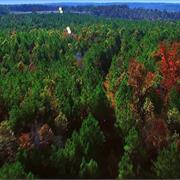 Mississippi Hills National Heritage Area