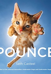 Pounce (Seth Casteel)