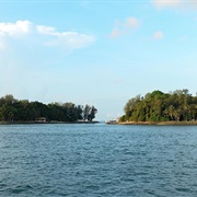 See WILD Dolphins at the Sisters Islands Marine Park