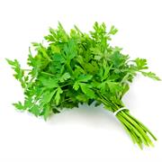 Neapolitan Parsley