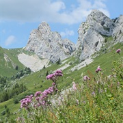 Vercors Regional Park, France
