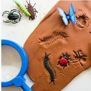 Create Your Own Fossils