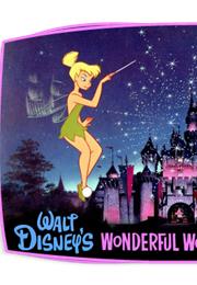 Disney's Wonderful World