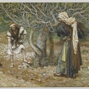 Parable of the Barren Fig Tree