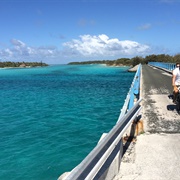 Pont De Mouli, New Caledonia