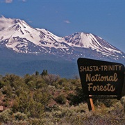 Shasta Trinity National Forest