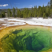 Visit Yellowstone