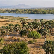 Liwonde National Park, Malawi