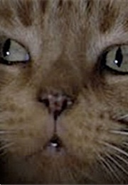 Jonesy, Alien (1979)