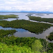 Sentarum Lake