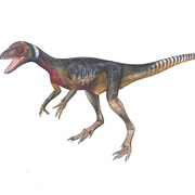 Herrerasaurus