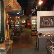 Cook's Natural Science Museum