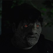 Dickfellig - Rhinoceros Wesen