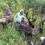 Running Reindeer Ranch