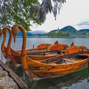 Row Around Lake Bled, Slovenia