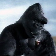 King Kong