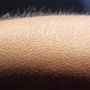 Listening to Your Favorite Music