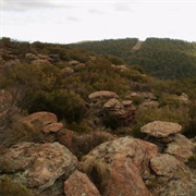 Dowe National Park (NSW)