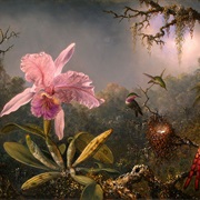Martin Johnson Heade