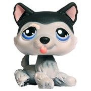 Littlest Pet Shop #210