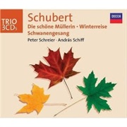 Franz Schubert - Winterreise