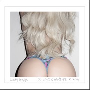 Do What U Want - Lady Gaga Ft. R. Kelly