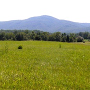 Lone Mountain State Forest, Tennessee
