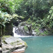 Sarapiquí Valley, Costa Rica