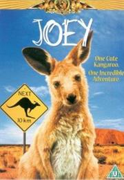 Joey