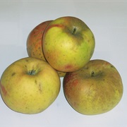 Blenheim Orange