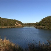 Mazonia-Braidwood State Fish & Wildlife Area, Illinois