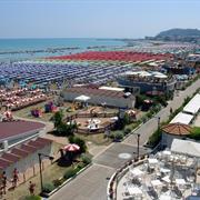 Cattolica