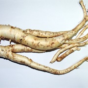 Balloon Flower (Platycodon)