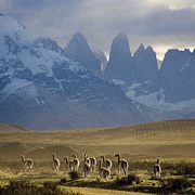 Patagonia (Argentina/Chile)