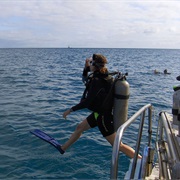 Gone SCUBA Diving From a Boat