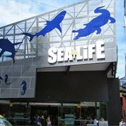 Sealife Aquarium