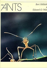The Ants (Bert Hölldobler and Edward O. Wilson)