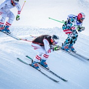 Ski Cross