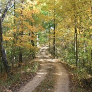 Trail of Tears State Forest, Illinois