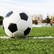 Played in a Soccer Team