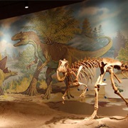 Utah Field House of Natural History State Park Museum