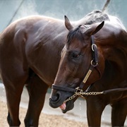 He Wears Special Earplugs Because He Doesn't Like Loud Noises or Crowds