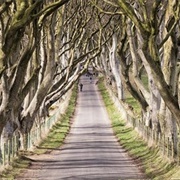 Ballymoney, Northern Ireland