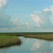 McFaddin National Wildlife Refuge