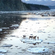 Yukon River, Alaska