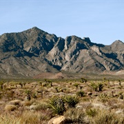Providence Mountains State Recreation Area, California