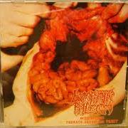 Lymphatic Phlegm / Neuro-Visceral Exhumation