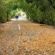 Provo River Trail