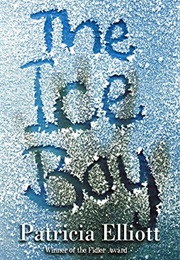 The Ice Boy (Patricia Elliott)