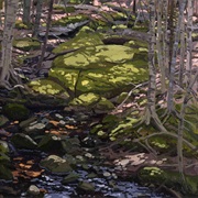 Neil Welliver